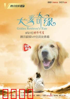 犬爱奇缘：忠诚守护一生