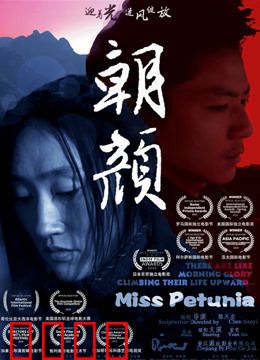 朝颜：夏日里的生命绽放