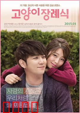 猫的葬礼：催泪虐心