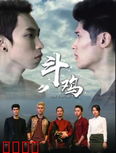 斗鸡：赌博陷阱