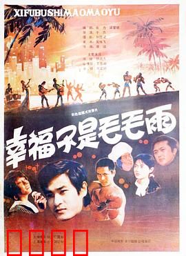 幸福不是毛毛雨：特区奋斗者之歌