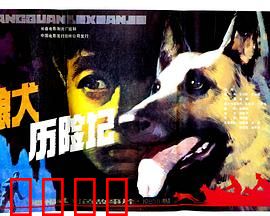 狼犬历险记：少年与狼犬的正义之战