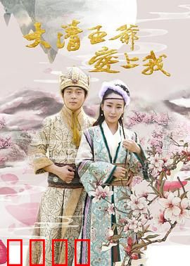 大清王爷爱上我：穿越虐恋