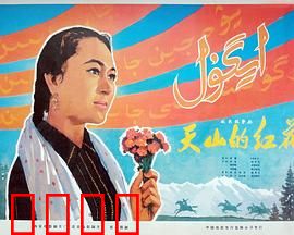 天山的红花：哈萨克姑娘的抉择