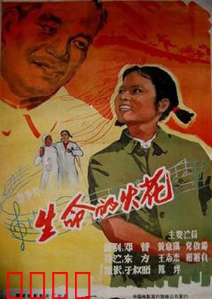 生命的火花：重生之光