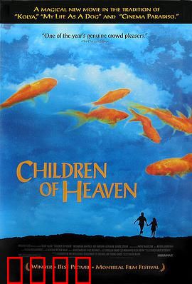 小鞋子：奔跑中的爱与责任