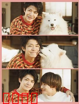 爱你汪汪：人狗情深催泪弹