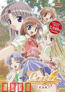 Canvas ～茶色的主题～：艺术与青春的交织