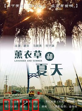 薰衣草和夏天：紫色青春纪事