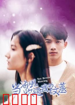 当海风吹过我的坟墓：爱在浪花间