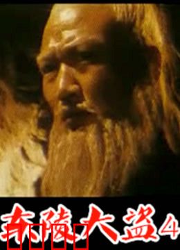 东陵大盗：宝藏背后的阴谋