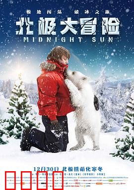 北极大冒险：极地生死恋