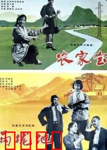 农家宝：勤劳致富路