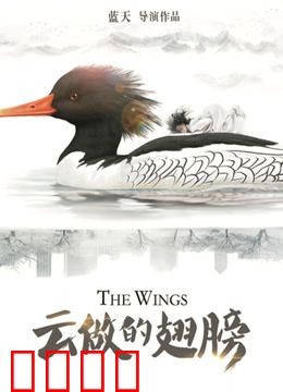 云做的翅膀：梦想的隐形翅膀
