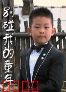 别碰我的童年：留守的痛与爱