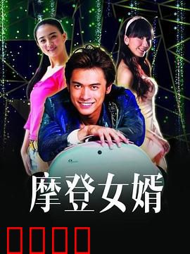 摩登女婿：笑翻天的拜见父母之旅