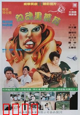 勾魂黑蔷薇：禁忌之花的诅咒