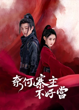 奈何寨主不好当：菜鸟逆袭记