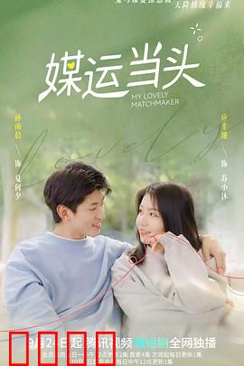 媒运当头：搞笑媒人奇遇记