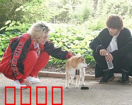 难破MG5特别篇：硬汉回归校园