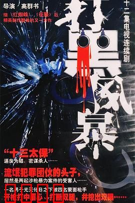 打黑风暴：正义雷霆