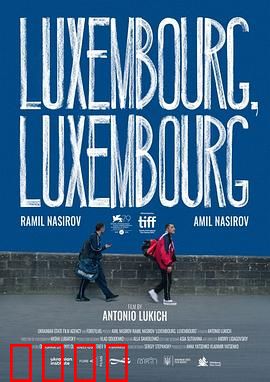 交错卢森堡：命运交错之谜