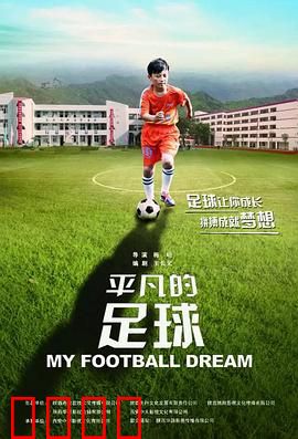 平凡的足球：梦想与坚持