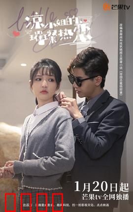 凉小姐的璀璨热恋：逆袭豪门