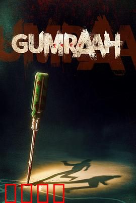 双面线索：迷雾中的真相