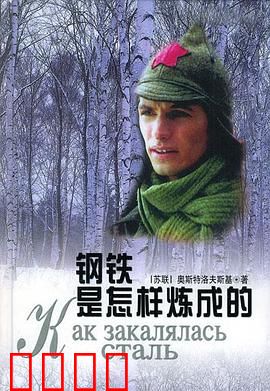 钢铁是怎样炼成的：热血与信仰