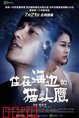 住在海边的猫头鹰：治愈孤独的心灵