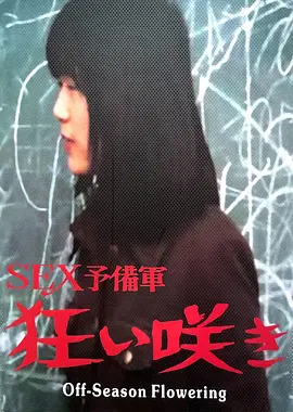 淡季花开：逆风绽放