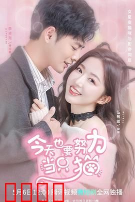 今天也要努力当只猫：喵生百态