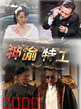 神偷特工：顶级盗贼的逆袭