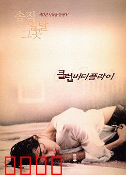 交换温柔：心灵互换之旅