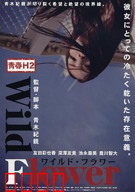 青春H2之狂野之花：叛逆与救赎