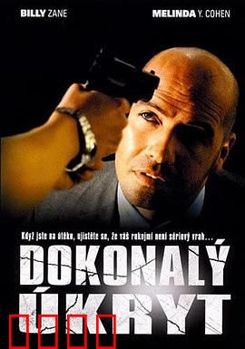 完美隐藏：谁在说谎？