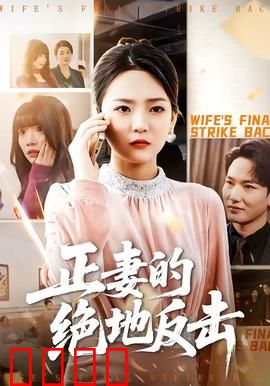 正妻的绝地反击：反击渣男婚外情