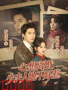 一心想离婚，少夫人她不好惹：离婚逆袭战