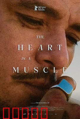 心如肌理：解剖情感密码