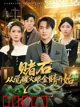 赌石从觉醒火眼金睛开始：透视捡漏逆袭