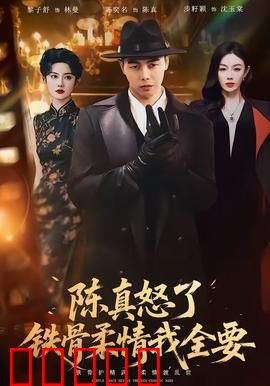 陈真怒了铁骨柔情我全要：拳拳到肉情义两全