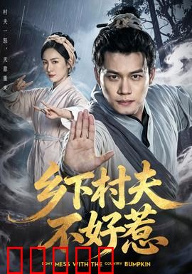 乡下村夫不好惹：低调高手逆袭