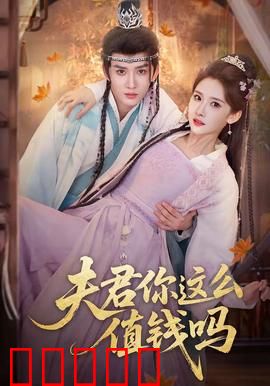 夫君你这么值钱吗:无价之夫